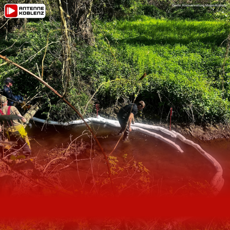 Gewässerverunreinigung bei Kretz