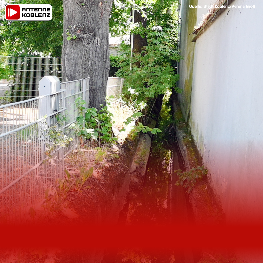 Hintergrund