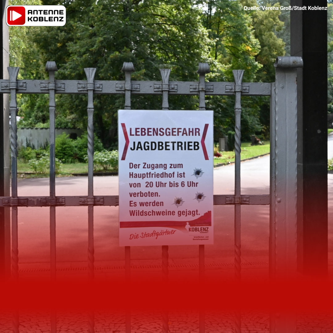 Hintergrund